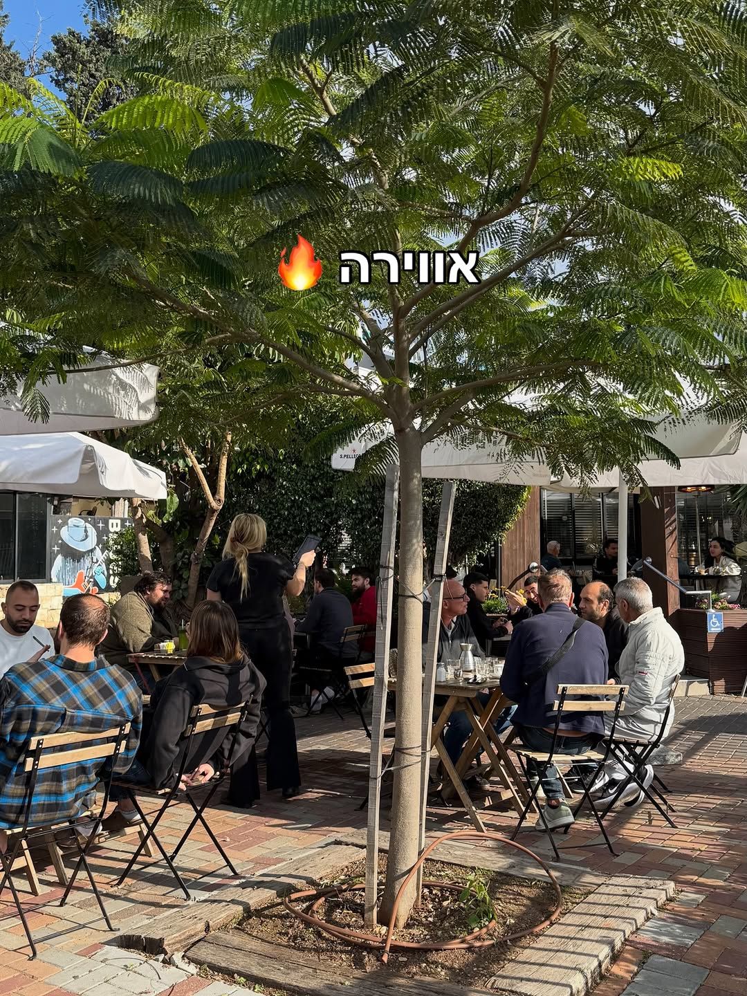 Variety of coffee cups on a wooden table